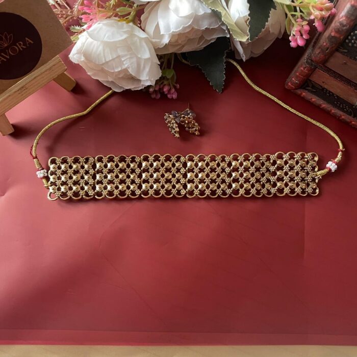 whatsapp image 2025 11 09 at 00.40.11